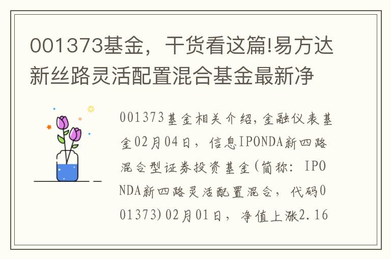 001373基金，干貨看這篇!易方達(dá)新絲路靈活配置混合基金最新凈值漲幅達(dá)2.16%