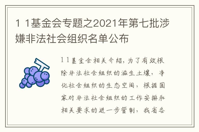 1 1基金會專題之2021年第七批涉嫌非法社會組織名單公布