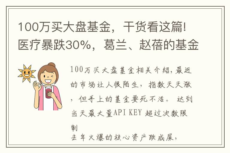 100萬(wàn)買大盤基金，干貨看這篇!醫(yī)療暴跌30%，葛蘭、趙蓓的基金可以抄底了嗎？