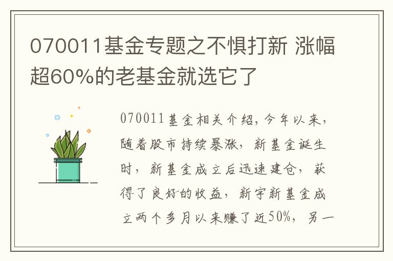 070011基金專題之不懼打新 漲幅超60%的老基金就選它了