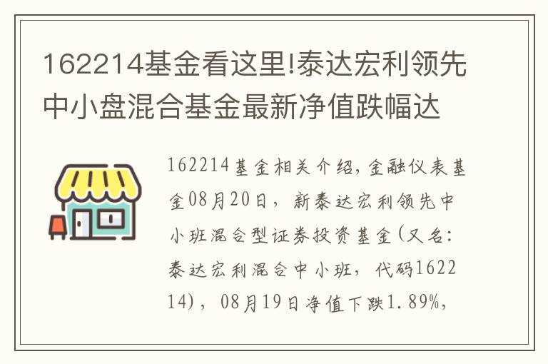 162214基金看這里!泰達宏利領(lǐng)先中小盤混合基金最新凈值跌幅達1.89%