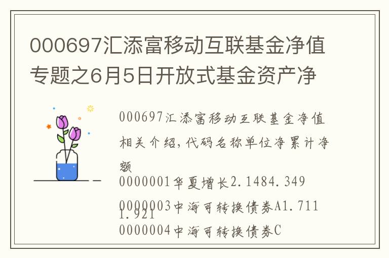 000697匯添富移動(dòng)互聯(lián)基金凈值專題之6月5日開放式基金資產(chǎn)凈值日報(bào)表