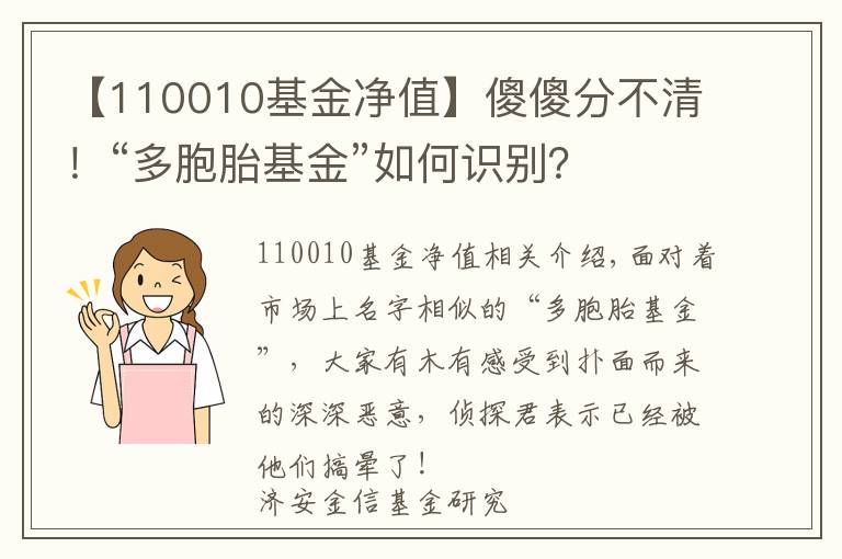 【110010基金凈值】傻傻分不清！“多胞胎基金”如何識別？