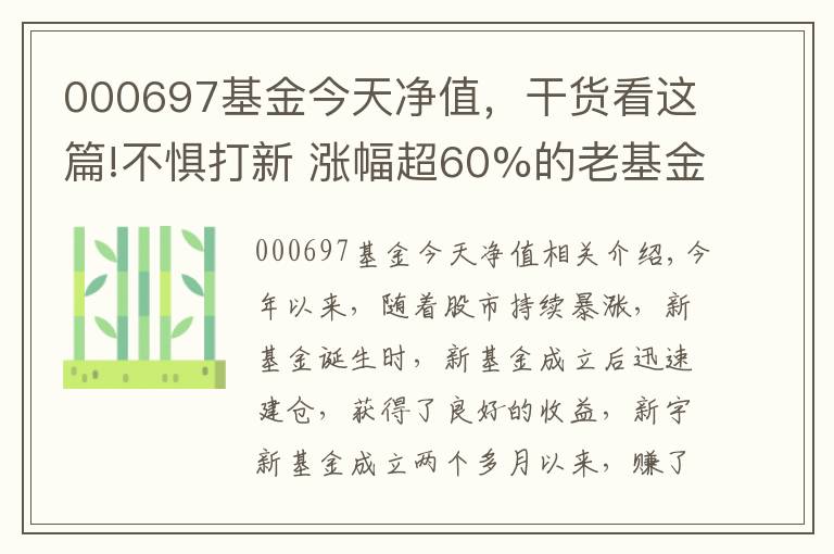 000697基金今天凈值，干貨看這篇!不懼打新 漲幅超60%的老基金就選它了