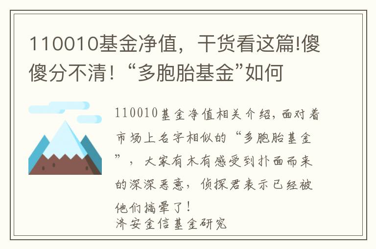 110010基金凈值，干貨看這篇!傻傻分不清！“多胞胎基金”如何識別？