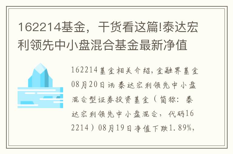 162214基金，干貨看這篇!泰達宏利領(lǐng)先中小盤混合基金最新凈值跌幅達1.89%