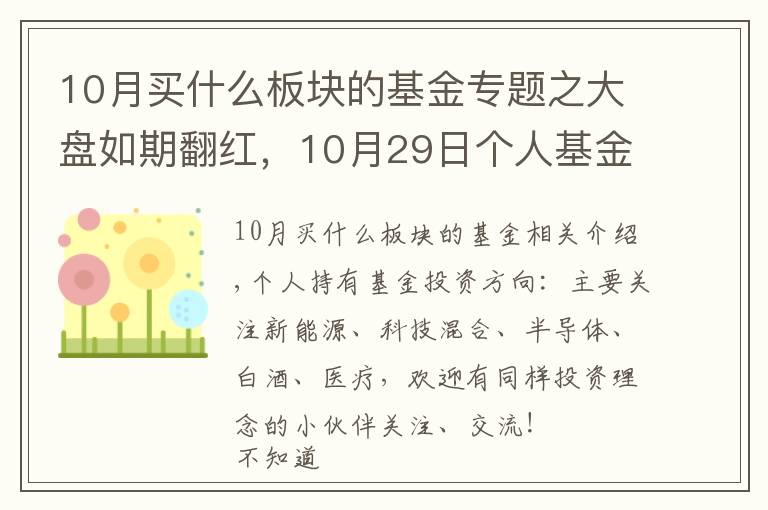 10月買什么板塊的基金專題之大盤如期翻紅，10月29日個人基金分享