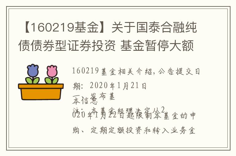 【160219基金】關(guān)于國泰合融純債債券型證券投資 基金暫停大額申購（含定投）及轉(zhuǎn)換轉(zhuǎn)入業(yè)務(wù)的公告