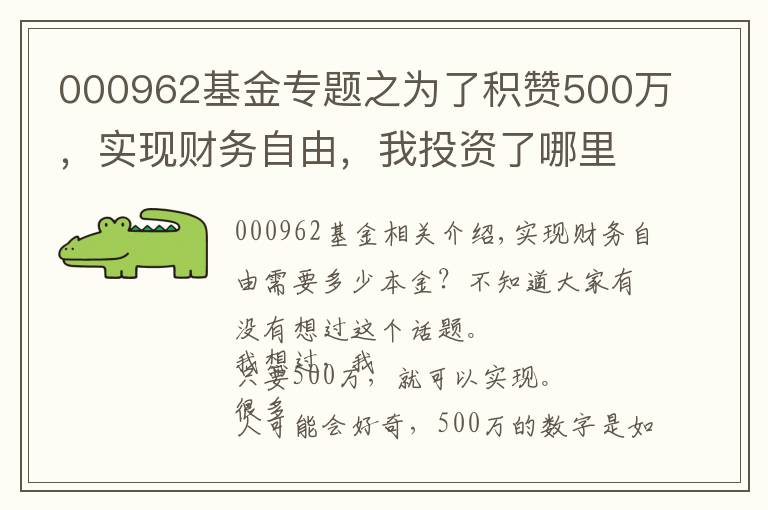 000962基金專題之為了積贊500萬，實現(xiàn)財務自由，我投資了哪里理財標的