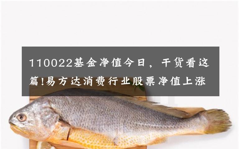 110022基金凈值今日，干貨看這篇!易方達(dá)消費(fèi)行業(yè)股票凈值上漲1.99% 請(qǐng)保持關(guān)注