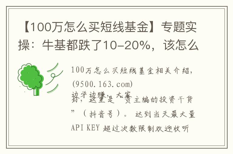 【100萬怎么買短線基金】專題實(shí)操：牛基都跌了10-20%，該怎么補(bǔ)倉(cāng)、換倉(cāng)？