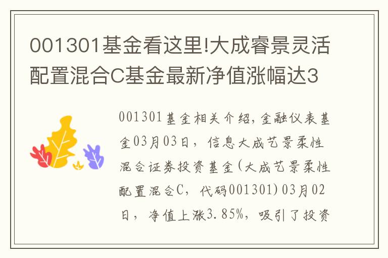 001301基金看這里!大成睿景靈活配置混合C基金最新凈值漲幅達(dá)3.85%