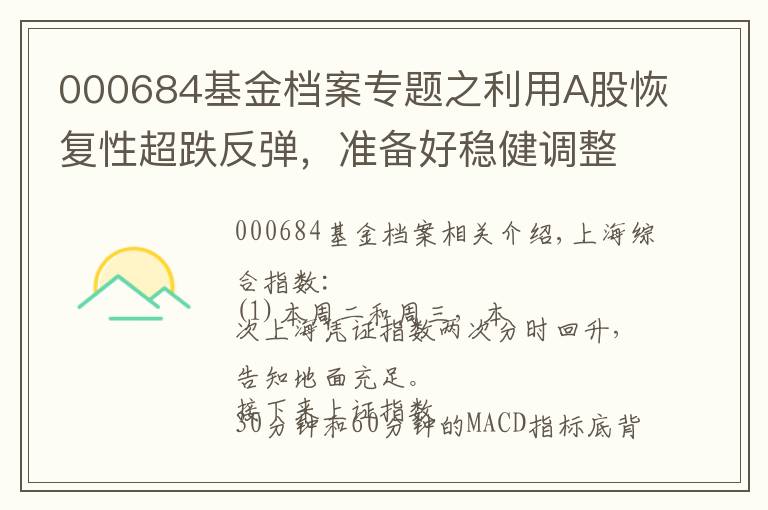 000684基金檔案專題之利用A股恢復(fù)性超跌反彈，準備好穩(wěn)健調(diào)整倉位結(jié)構(gòu)