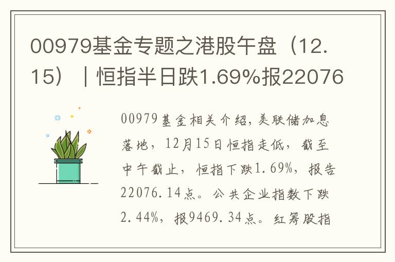 00979基金專題之港股午盤（12.15）︱恒指半日跌1.69%報(bào)22076.14點(diǎn) 藍(lán)籌股全線下挫