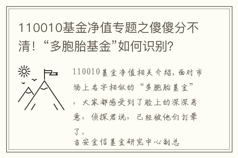 110010基金凈值專題之傻傻分不清！“多胞胎基金”如何識別？