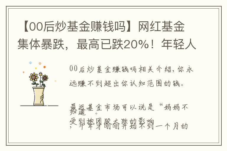 【00后炒基金賺錢嗎】網(wǎng)紅基金集體暴跌，最高已跌20%！年輕人又被“割”了？