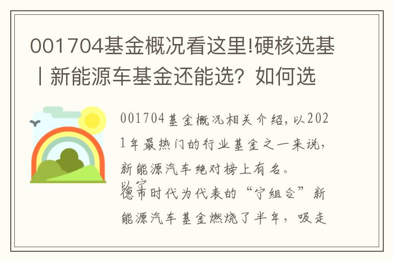 001704基金概況看這里!硬核選基丨新能源車基金還能選？如何選？