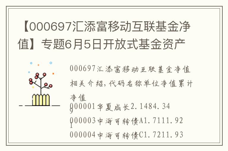 【000697匯添富移動互聯(lián)基金凈值】專題6月5日開放式基金資產(chǎn)凈值日報表