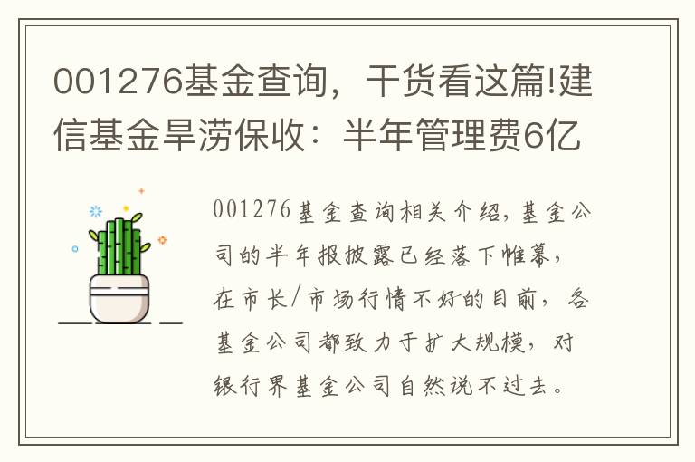 001276基金查詢，干貨看這篇!建信基金旱澇保收：半年管理費6億 基金虧近34億