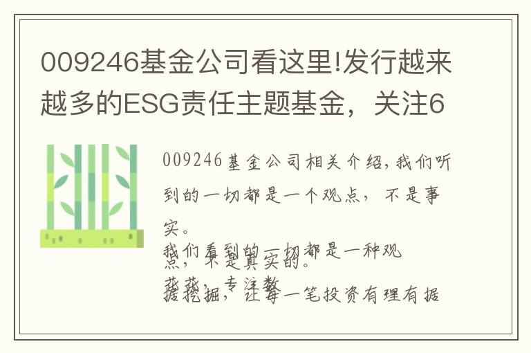 009246基金公司看這里!發(fā)行越來越多的ESG責(zé)任主題基金，關(guān)注6只