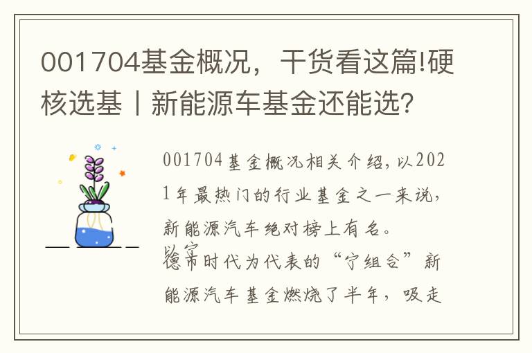 001704基金概況，干貨看這篇!硬核選基丨新能源車基金還能選？如何選？