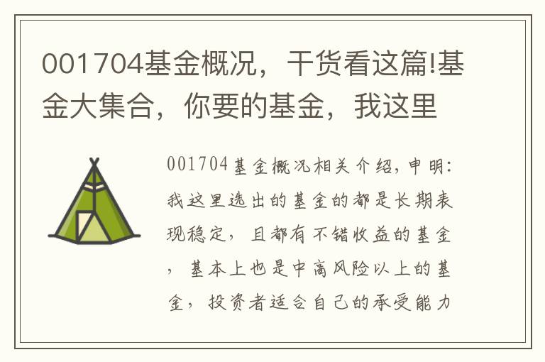 001704基金概況，干貨看這篇!基金大集合，你要的基金，我這里都有