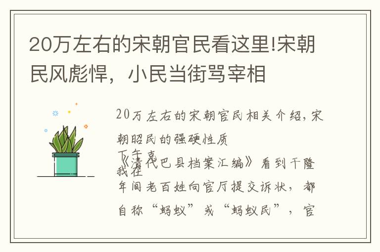 20萬左右的宋朝官民看這里!宋朝民風彪悍，小民當街罵宰相