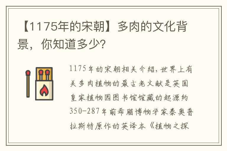 【1175年的宋朝】多肉的文化背景，你知道多少？