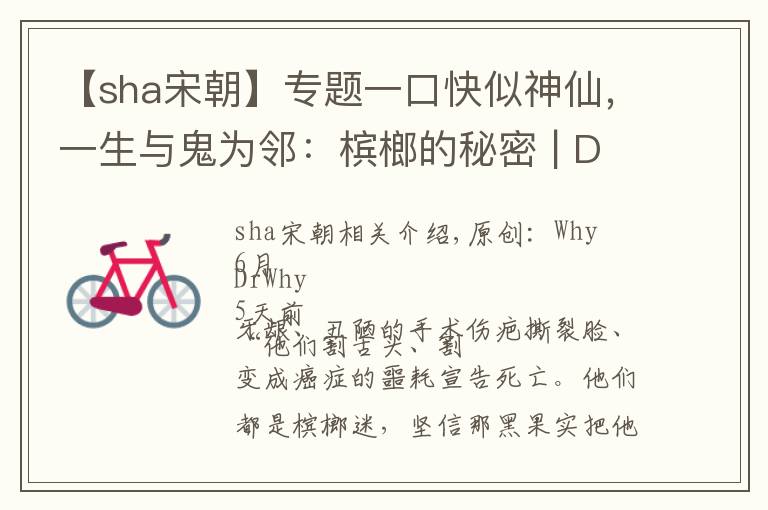 【sha宋朝】專題一口快似神仙，一生與鬼為鄰：檳榔的秘密 | Dr.Why