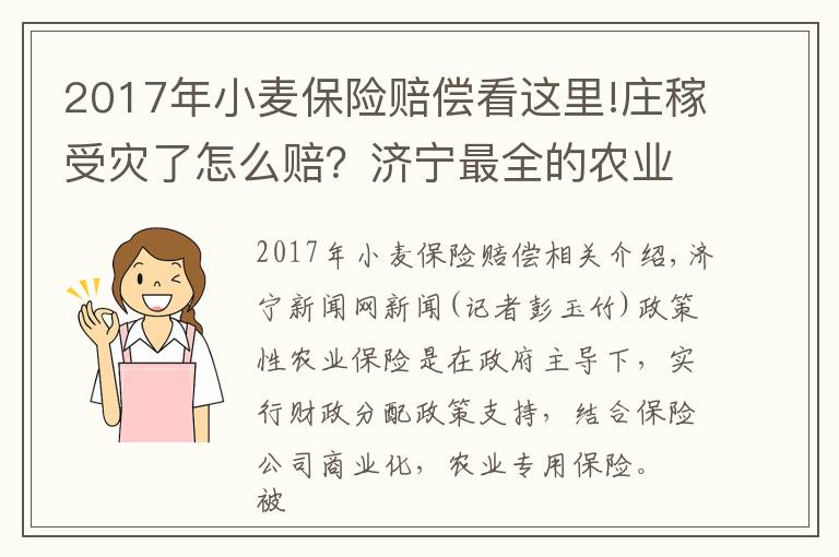 2017年小麥保險賠償看這里!莊稼受災(zāi)了怎么賠？濟(jì)寧最全的農(nóng)業(yè)保險目錄在這里！