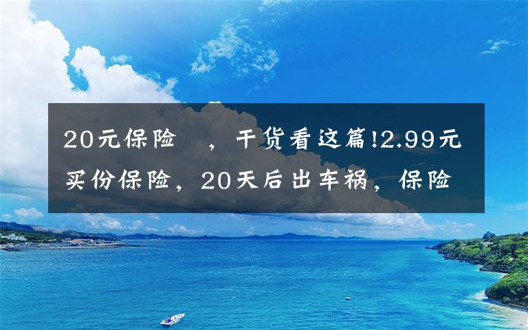 20元保險	，干貨看這篇!2.99元買份保險，20天后出車禍，保險公司賠付30萬！