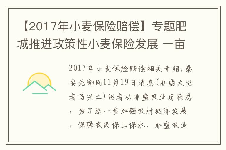 【2017年小麥保險賠償】專題肥城推進(jìn)政策性小麥保險發(fā)展 一畝交3元小麥上保險