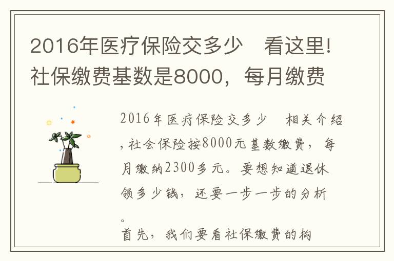 2016年醫(yī)療保險交多少	看這里!社保繳費基數(shù)是8000，每月繳費2300多元，退休養(yǎng)老金能領多少？