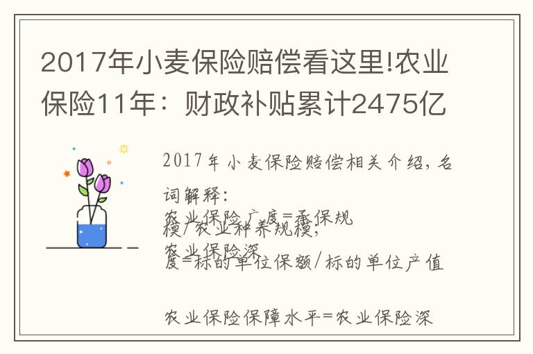 2017年小麥保險賠償看這里!農(nóng)業(yè)保險11年：財政補(bǔ)貼累計2475億元，2018年賠付率高達(dá)73.49%