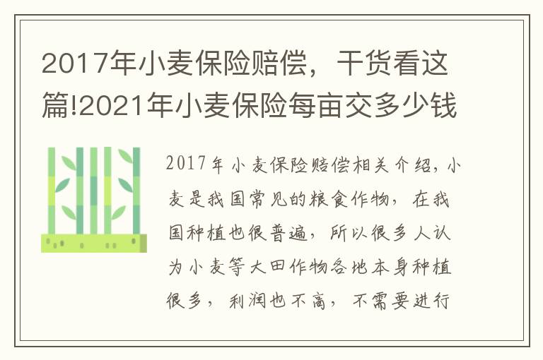 2017年小麥保險賠償，干貨看這篇!2021年小麥保險每畝交多少錢？哪些情況損失不保？