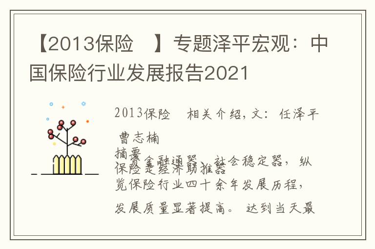 【2013保險	】專題澤平宏觀：中國保險行業(yè)發(fā)展報告2021