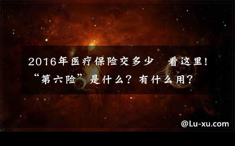 2016年醫(yī)療保險(xiǎn)交多少 看這里!“第六險(xiǎn)”是什么？有什么用？了解一下