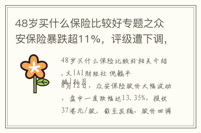 48歲買什么保險比較好專題之眾安保險暴跌超11%，評級遭下調(diào)，“明星產(chǎn)品”被監(jiān)管重罰