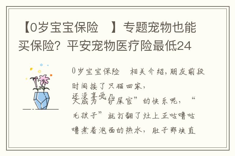 【0歲寶寶保險	】專題寵物也能買保險？平安寵物醫(yī)療險最低248元，鏟屎官別錯過