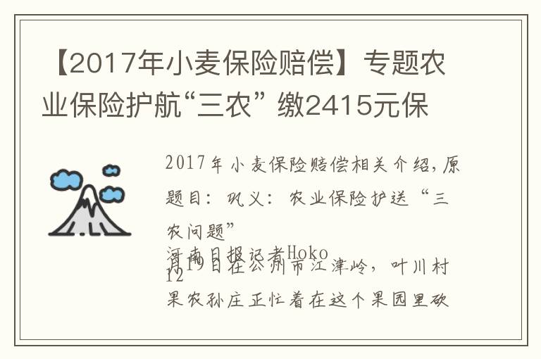 【2017年小麥保險(xiǎn)賠償】專題農(nóng)業(yè)保險(xiǎn)護(hù)航“三農(nóng)” 繳2415元保費(fèi)獲賠付10萬