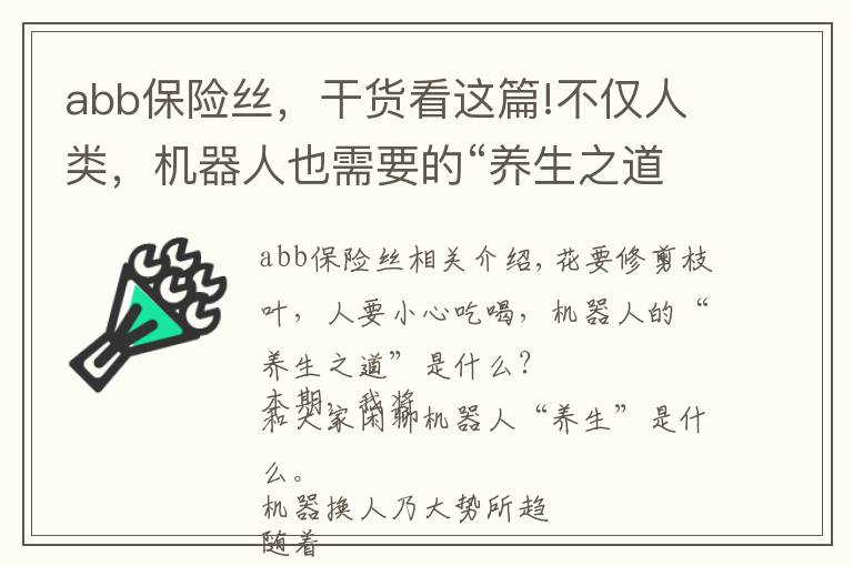 abb保險絲，干貨看這篇!不僅人類，機器人也需要的“養(yǎng)生之道”