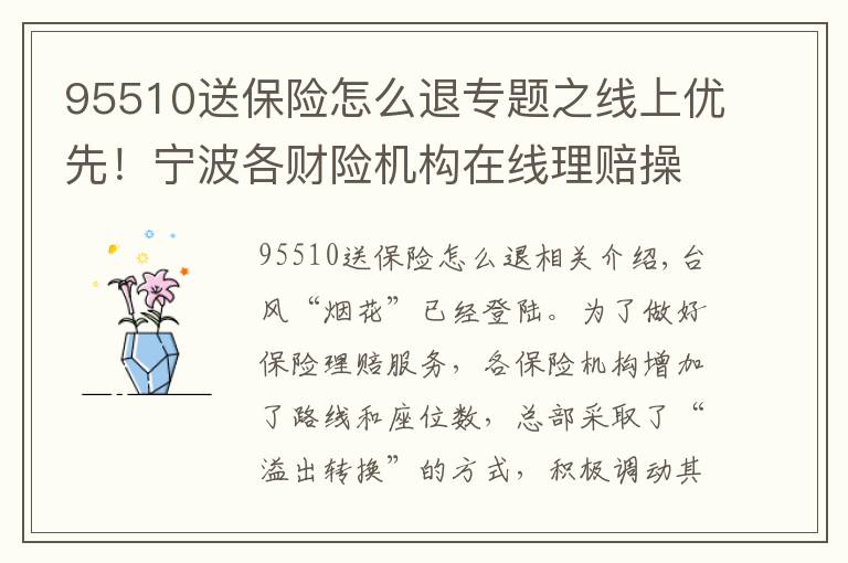 95510送保險怎么退專題之線上優(yōu)先！寧波各財險機構(gòu)在線理賠操作來了