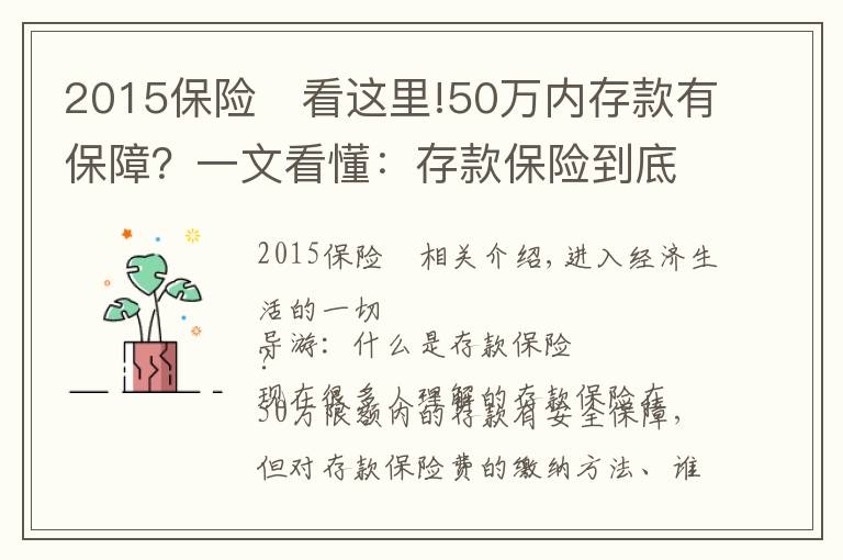 2015保險	看這里!50萬內(nèi)存款有保障？一文看懂：存款保險到底是什么？誰在管理，如何運作？