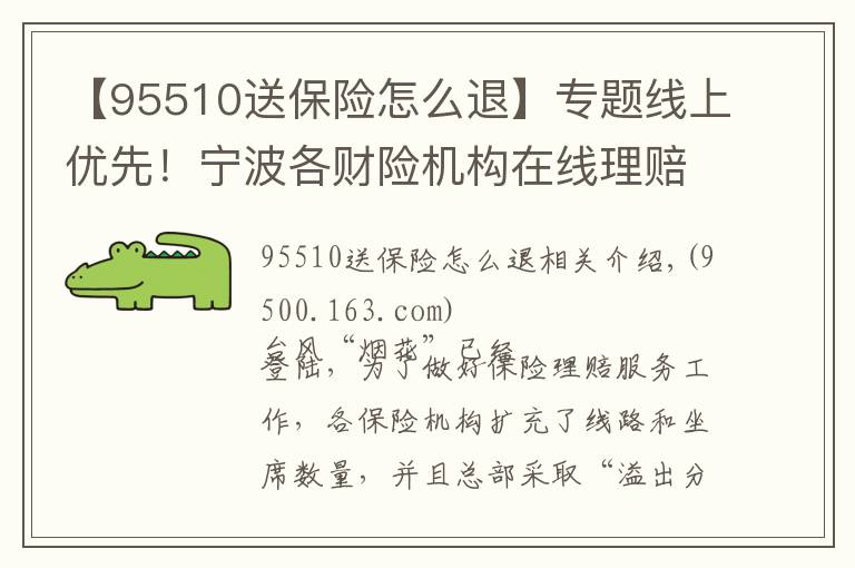 【95510送保險怎么退】專題線上優(yōu)先！寧波各財險機構(gòu)在線理賠操作來了