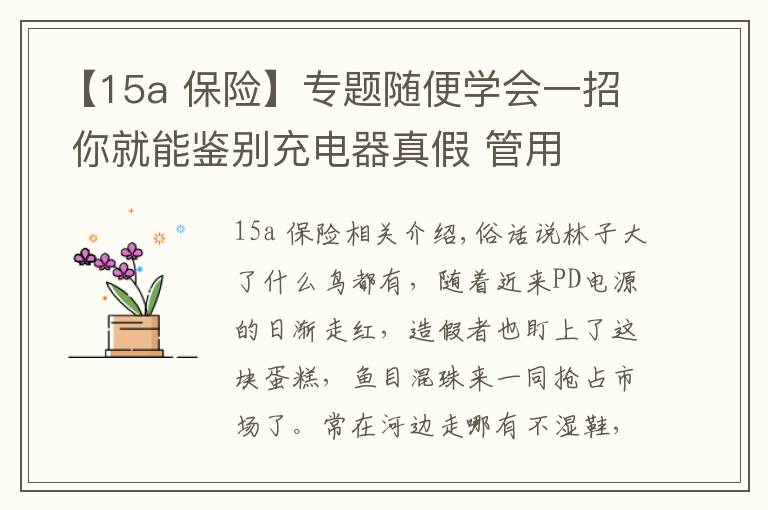 【15a 保險(xiǎn)】專題隨便學(xué)會(huì)一招 你就能鑒別充電器真假 管用