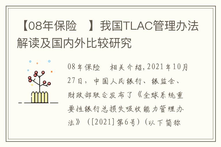 【08年保險(xiǎn)	】我國TLAC管理辦法解讀及國內(nèi)外比較研究