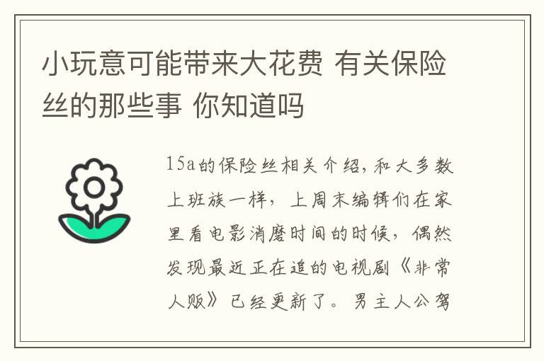 小玩意可能帶來大花費 有關(guān)保險絲的那些事 你知道嗎