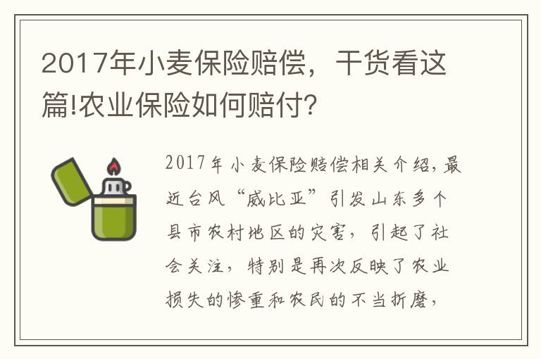 2017年小麥保險賠償，干貨看這篇!農(nóng)業(yè)保險如何賠付？