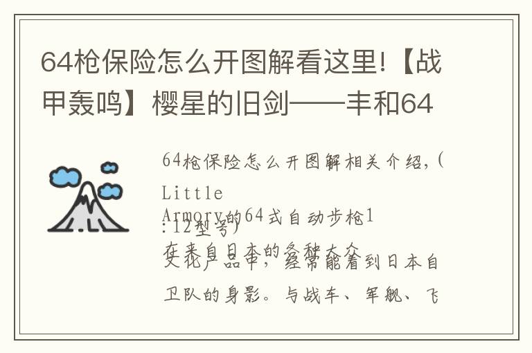 64槍保險怎么開圖解看這里!【戰(zhàn)甲轟鳴】櫻星的舊劍——豐和64式自動步槍小史