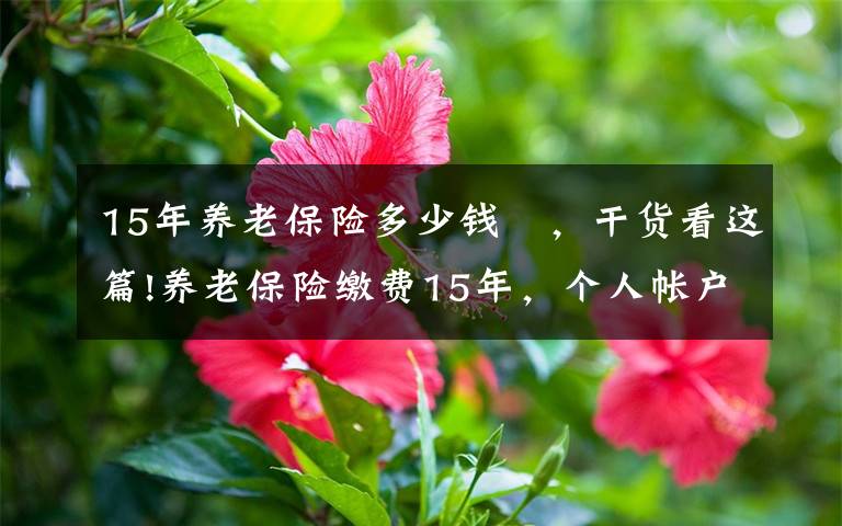 15年養(yǎng)老保險(xiǎn)多少錢 ，干貨看這篇!養(yǎng)老保險(xiǎn)繳費(fèi)15年，個(gè)人帳戶養(yǎng)老金4萬多，50歲退休拿多少錢？